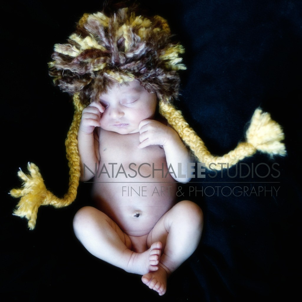 Newborn Lioness by Westminster, Colorado Baby Photography Natascha Lee Studios
