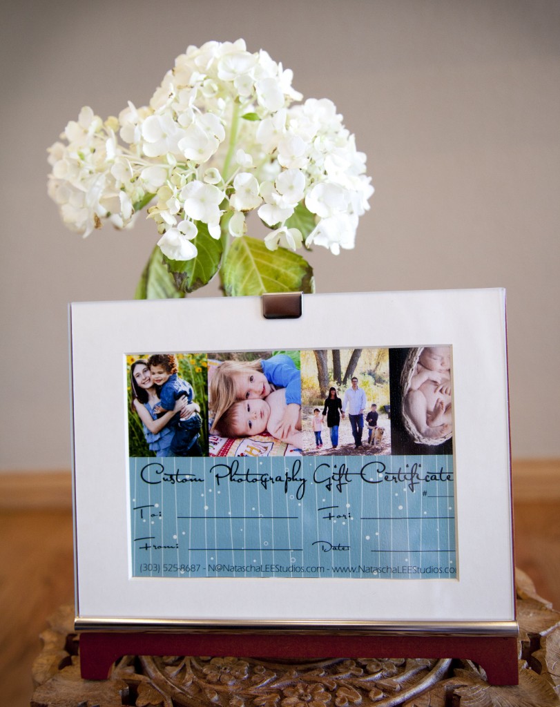 Portrait Gift Certificate for Mother's Day from Broomfield, Colorado Baby, Children and Family Photography by Natascha Lee Studios