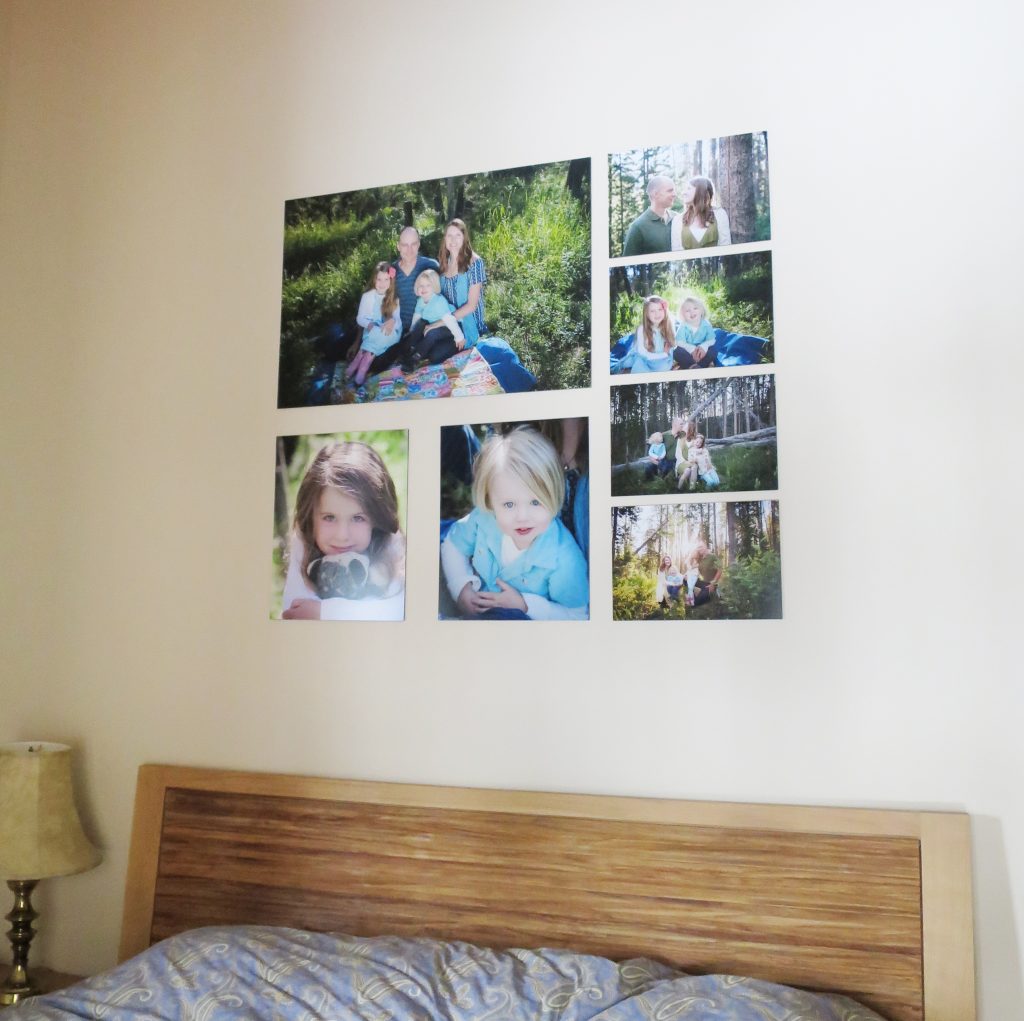 6 ideas to display your winter park family photos